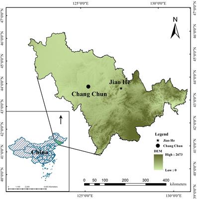 Thinning can increase shrub diversity and decrease herb diversity by regulating light and soil environments